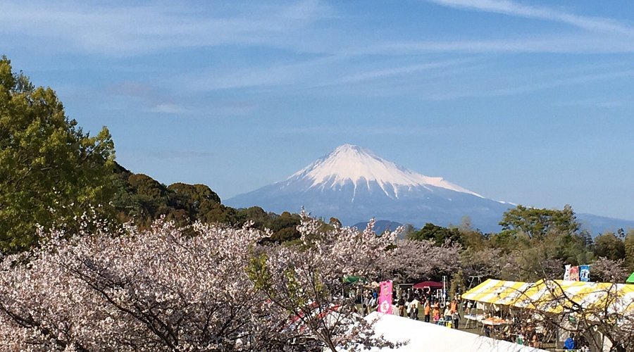 🏟️ 시미즈 니혼다이라 운동공원 (시미즈 니혼다이라 운도코엔) 이미지 1